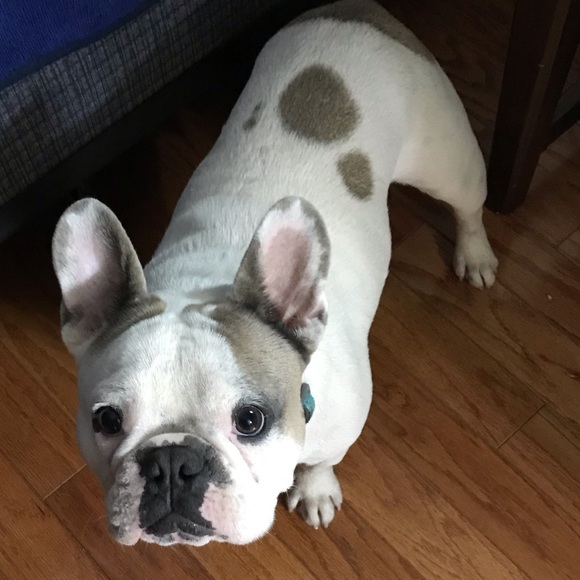 Meet your Posher, Shannon - Picture 2 of 2